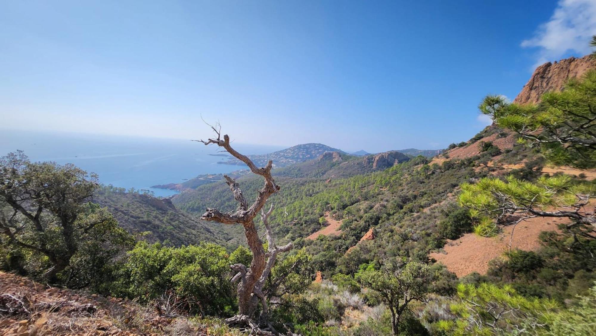 Appartement Saint-raphael- Vue Et Massif De L'esterel *